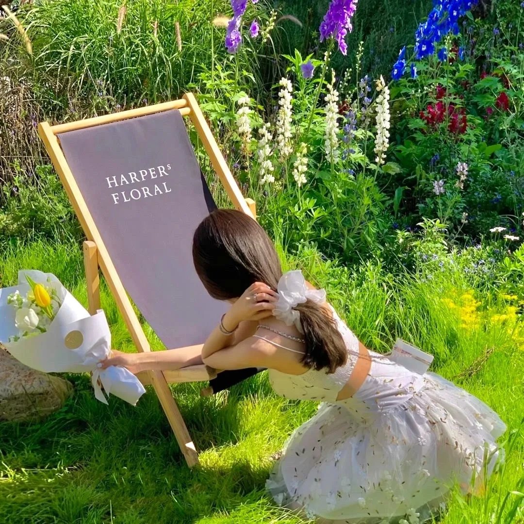 万物生灵第五季