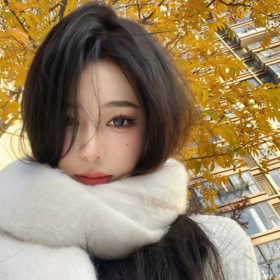 兔子镇的火狐狸